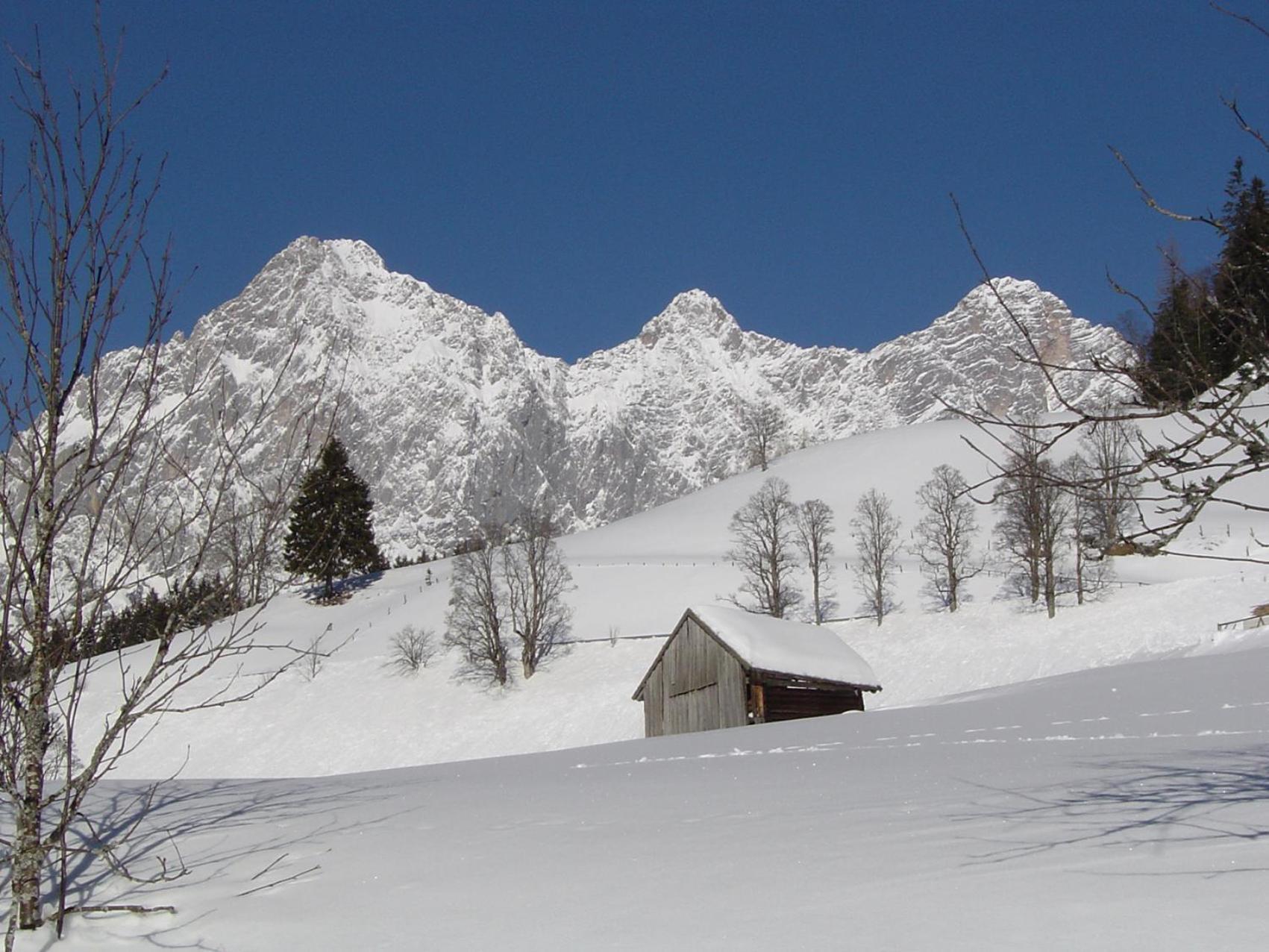 Pension Bartlbauer Hotel Ramsau am Dachstein Kültér fotó