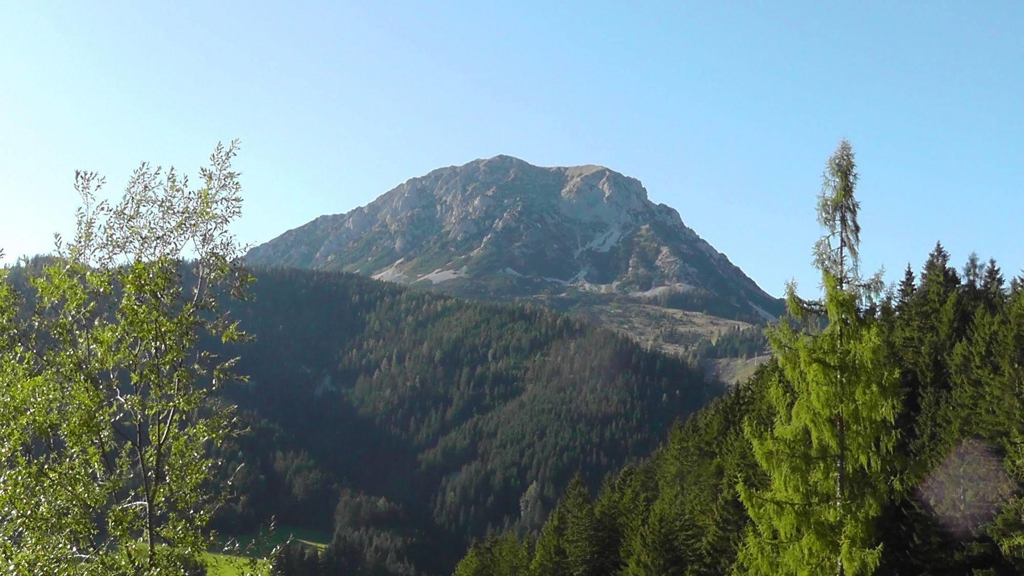 Pension Bartlbauer Hotel Ramsau am Dachstein Kültér fotó